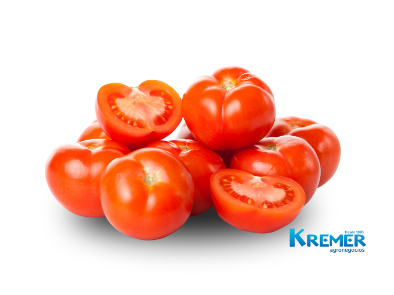 TOMATES