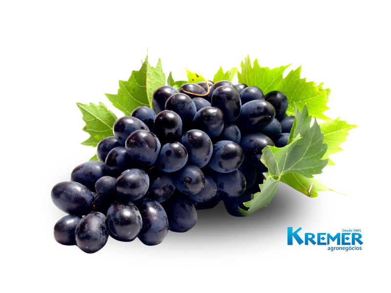 UVAS