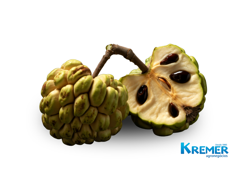 ATEMOIA