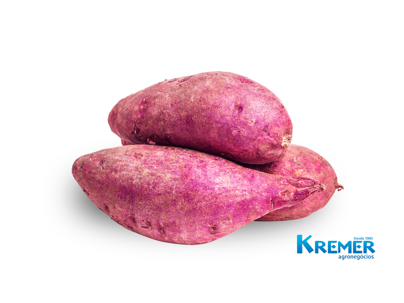 BATATA DOCE