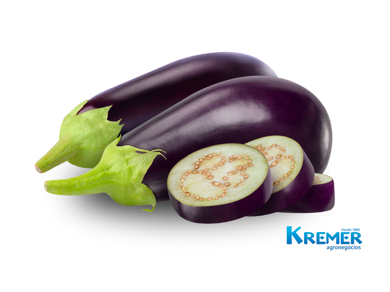 BERINJELA