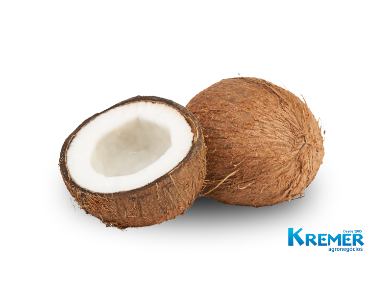 COCOS