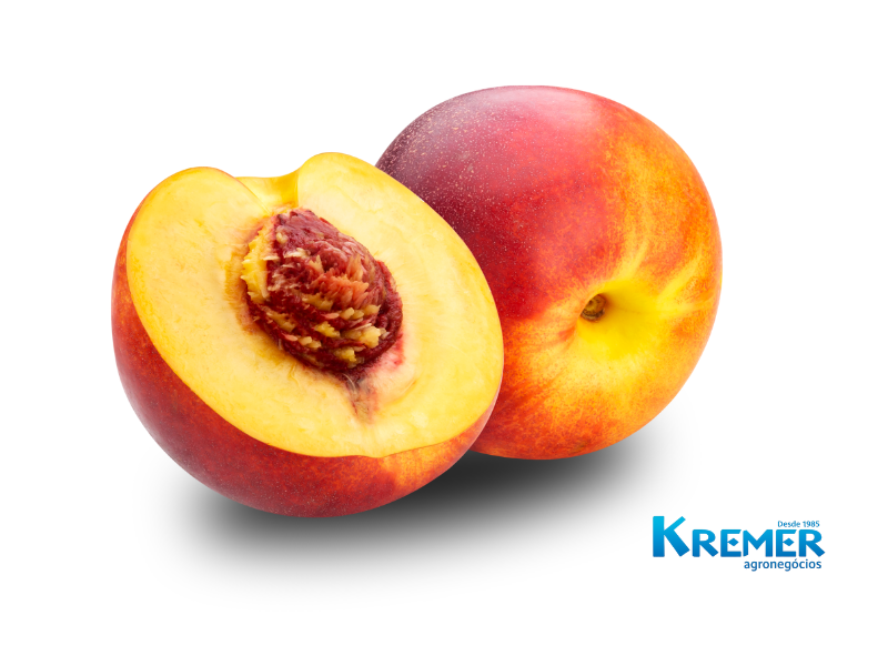NECTARINA