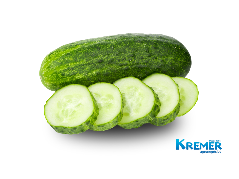 PEPINO