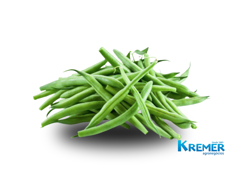 VAGEM